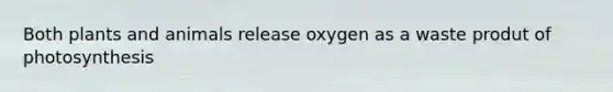 Both plants and animals release oxygen as a waste produt of photosynthesis