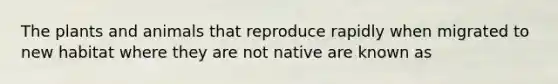 The plants and animals that reproduce rapidly when migrated to new habitat where they are not native are known as