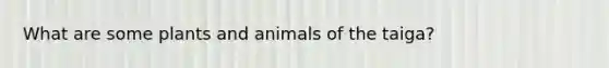 What are some plants and animals of the taiga?