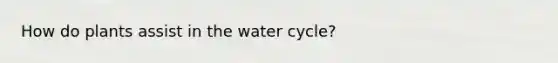 How do plants assist in the water cycle?