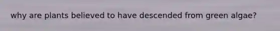 why are plants believed to have descended from green algae?