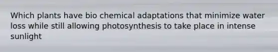 Which plants have bio chemical adaptations that minimize water loss while still allowing photosynthesis to take place in intense sunlight