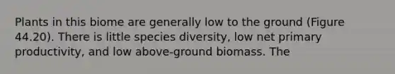 Plants in this biome are generally low to the ground (Figure 44.20). There is little species diversity, low net primary productivity, and low above-ground biomass. The