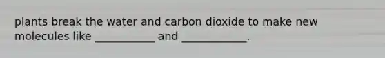 plants break the water and carbon dioxide to make new molecules like ___________ and ____________.