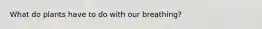 What do plants have to do with our breathing?