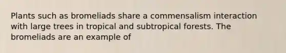 Plants such as bromeliads share a commensalism interaction with large trees in tropical and subtropical forests. The bromeliads are an example of