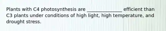 Plants with C4 photosynthesis are _______________ efficient than C3 plants under conditions of high light, high temperature, and drought stress.