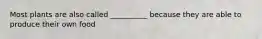 Most plants are also called __________ because they are able to produce their own food