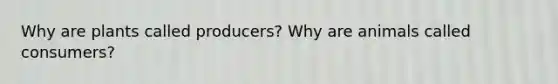 Why are plants called producers? Why are animals called consumers?