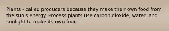 Plants - called producers because they make their own food from the sun's energy. Process plants use carbon dioxide, water, and sunlight to make its own food.