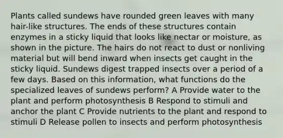 Plants called sundews have rounded green leaves with many hair-like structures. The ends of these structures contain enzymes in a sticky liquid that looks like nectar or moisture, as shown in the picture. The hairs do not react to dust or nonliving material but will bend inward when insects get caught in the sticky liquid. Sundews digest trapped insects over a period of a few days. Based on this information, what functions do the specialized leaves of sundews perform? A Provide water to the plant and perform photosynthesis B Respond to stimuli and anchor the plant C Provide nutrients to the plant and respond to stimuli D Release pollen to insects and perform photosynthesis