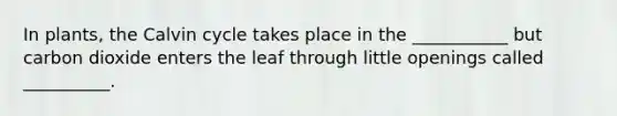 In plants, the Calvin cycle takes place in the ___________ but carbon dioxide enters the leaf through little openings called __________.