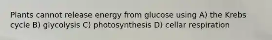 Plants cannot release energy from glucose using A) the <a href='https://www.questionai.com/knowledge/kqfW58SNl2-krebs-cycle' class='anchor-knowledge'>krebs cycle</a> B) glycolysis C) photosynthesis D) cellar respiration