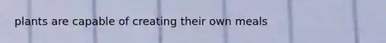 plants are capable of creating their own meals