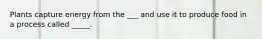 Plants capture energy from the ___ and use it to produce food in a process called _____.