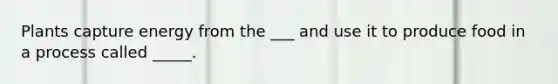 Plants capture energy from the ___ and use it to produce food in a process called _____.