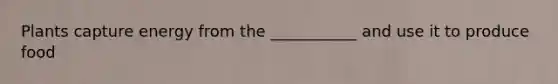 Plants capture energy from the ___________ and use it to produce food