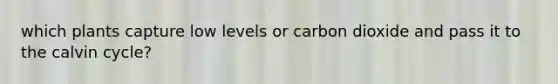 which plants capture low levels or carbon dioxide and pass it to the calvin cycle?