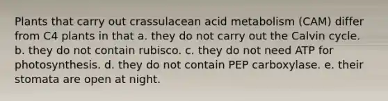 Plants that carry out crassulacean acid metabolism (CAM) differ from C4 plants in that a. they do not carry out the Calvin cycle. b. they do not contain rubisco. c. they do not need ATP for photosynthesis. d. they do not contain PEP carboxylase. e. their stomata are open at night.