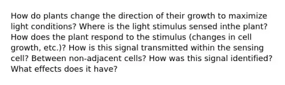 How do plants change the direction of their growth to maximize light conditions? Where is the light stimulus sensed inthe plant? How does the plant respond to the stimulus (changes in cell growth, etc.)? How is this signal transmitted within the sensing cell? Between non-adjacent cells? How was this signal identified? What effects does it have?