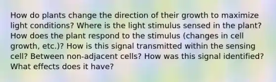 How do plants change the direction of their growth to maximize light conditions? Where is the light stimulus sensed in the plant? How does the plant respond to the stimulus (changes in cell growth, etc.)? How is this signal transmitted within the sensing cell? Between non-adjacent cells? How was this signal identified? What effects does it have?