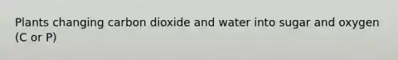 Plants changing carbon dioxide and water into sugar and oxygen (C or P)