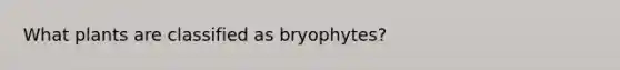 What plants are classified as bryophytes?