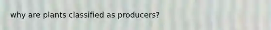 why are plants classified as producers?