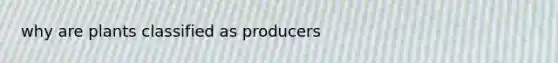 why are plants classified as producers