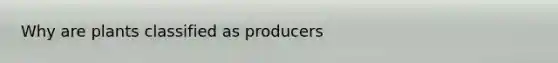 Why are plants classified as producers