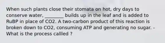 When such plants close their stomata on hot, dry days to conserve water, ________ builds up in the leaf and is added to RuBP in place of CO2. A two-carbon product of this reaction is broken down to CO2, consuming ATP and generating no sugar. -What is the process callled ?