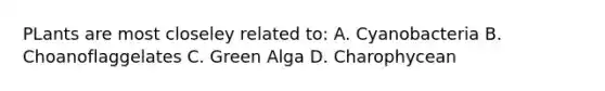 PLants are most closeley related to: A. Cyanobacteria B. Choanoflaggelates C. Green Alga D. Charophycean