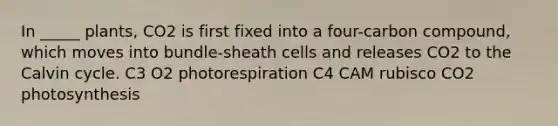 In _____ plants, CO2 is first fixed into a four-carbon compound, which moves into bundle-sheath cells and releases CO2 to the Calvin cycle. C3 O2 photorespiration C4 CAM rubisco CO2 photosynthesis