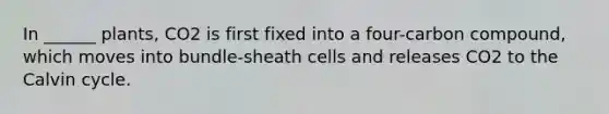 In ______ plants, CO2 is first fixed into a four-carbon compound, which moves into bundle-sheath cells and releases CO2 to the Calvin cycle.