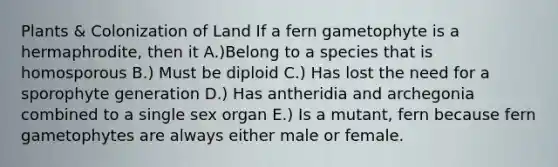 Plants & Colonization of Land If a fern gametophyte is a hermaphrodite, then it A.)Belong to a species that is homosporous B.) Must be diploid C.) Has lost the need for a sporophyte generation D.) Has antheridia and archegonia combined to a single sex organ E.) Is a mutant, fern because fern gametophytes are always either male or female.