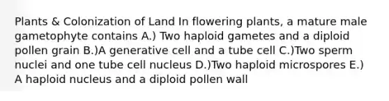 Plants & Colonization of Land In flowering plants, a mature male gametophyte contains A.) Two haploid gametes and a diploid pollen grain B.)A generative cell and a tube cell C.)Two sperm nuclei and one tube cell nucleus D.)Two haploid microspores E.) A haploid nucleus and a diploid pollen wall