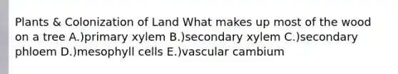 Plants & Colonization of Land What makes up most of the wood on a tree A.)primary xylem B.)secondary xylem C.)secondary phloem D.)mesophyll cells E.)vascular cambium