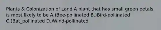 Plants & Colonization of Land A plant that has small green petals is most likely to be A.)Bee-pollinated B.)Bird-pollinated C.)Bat_pollinated D.)Wind-pollinated