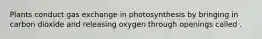 Plants conduct gas exchange in photosynthesis by bringing in carbon dioxide and releasing oxygen through openings called .