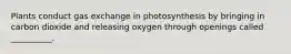 Plants conduct gas exchange in photosynthesis by bringing in carbon dioxide and releasing oxygen through openings called __________.