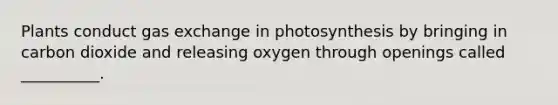 Plants conduct gas exchange in photosynthesis by bringing in carbon dioxide and releasing oxygen through openings called __________.