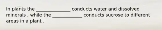 In plants the _______________ conducts water and dissolved minerals , while the _____________ conducts sucrose to different areas in a plant .