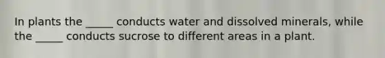 In plants the _____ conducts water and dissolved minerals, while the _____ conducts sucrose to different areas in a plant.