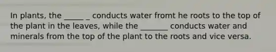 In plants, the _____ _ conducts water fromt he roots to the top of the plant in the leaves, while the _______ conducts water and minerals from the top of the plant to the roots and vice versa.