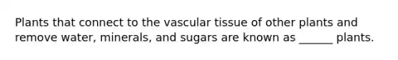 Plants that connect to the <a href='https://www.questionai.com/knowledge/k1HVFq17mo-vascular-tissue' class='anchor-knowledge'>vascular tissue</a> of other plants and remove water, minerals, and sugars are known as ______ plants.