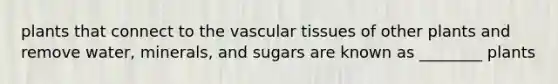 plants that connect to the vascular tissues of other plants and remove water, minerals, and sugars are known as ________ plants