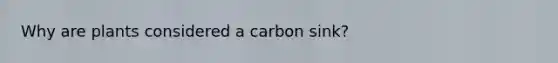 Why are plants considered a carbon sink?