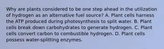 Why are plants considered to be one step ahead in the utilization of hydrogen as an alternative fuel source? A. Plant cells harness the ATP produced during photosynthesis to split water. B. Plant cells break down carbohydrates to generate hydrogen. C. Plant cells convert carbon to combustible hydrogen. D. Plant cells possess water-splitting enzymes.