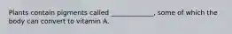 Plants contain pigments called _____________, some of which the body can convert to vitamin A.