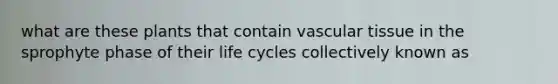 what are these plants that contain <a href='https://www.questionai.com/knowledge/k1HVFq17mo-vascular-tissue' class='anchor-knowledge'>vascular tissue</a> in the sprophyte phase of their life cycles collectively known as